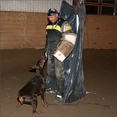 Training in Estonia 11/2007